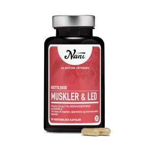 Muskler & Led