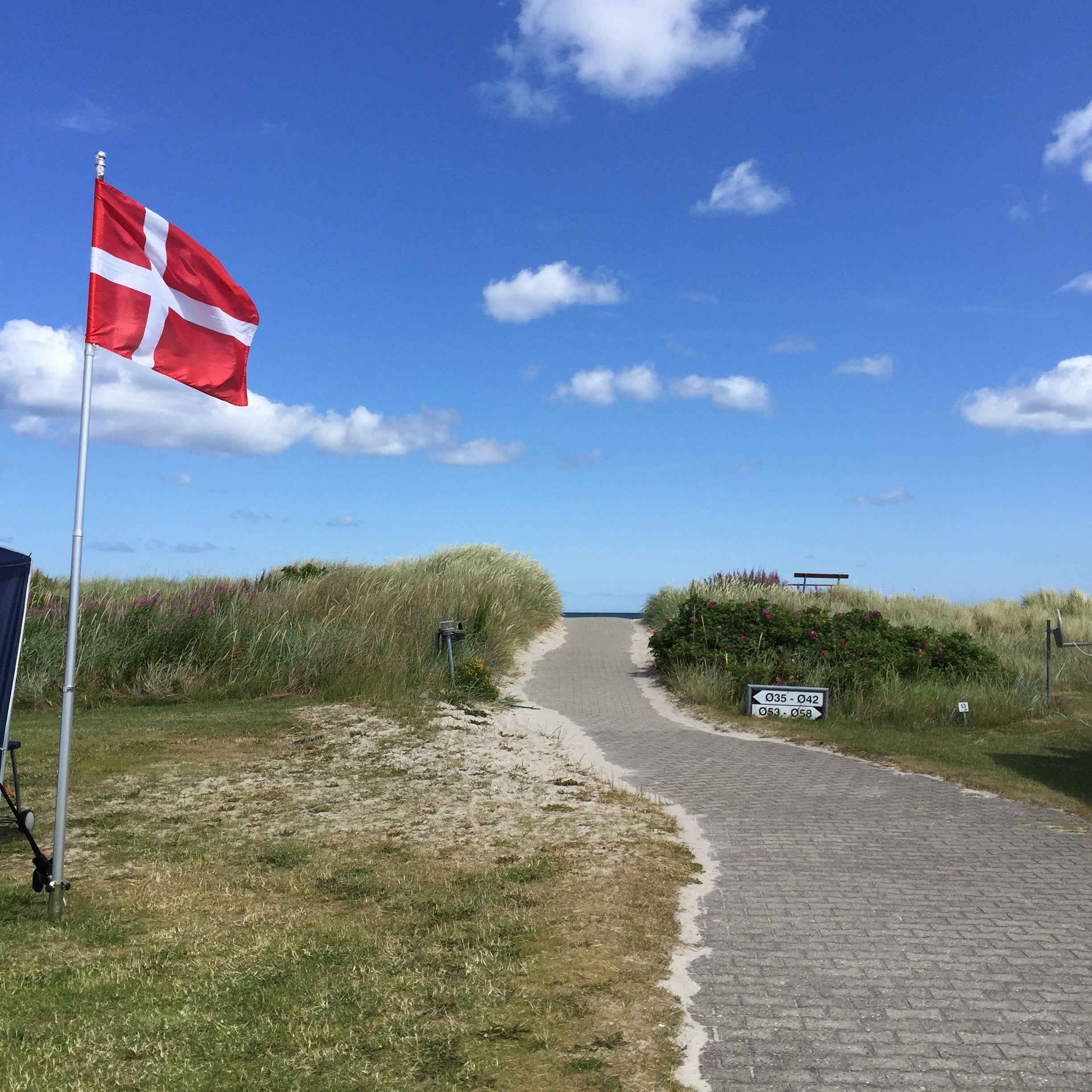 Sol, sommer og hud: sådan kan du pleje huden igennem sommermånederne ☀️