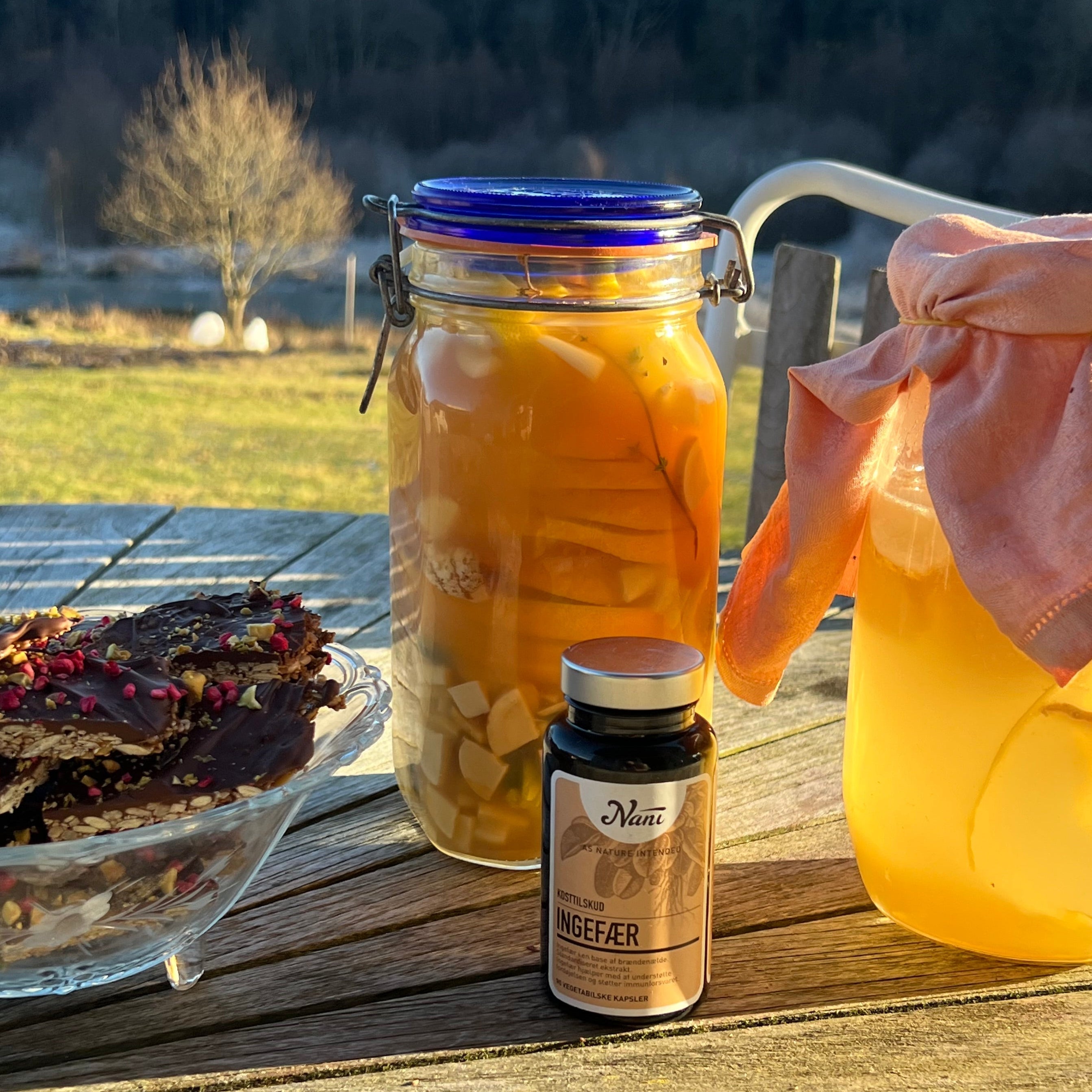 Fire Cider inspireret af urtelæreren Rosemary Gladstar 🔥