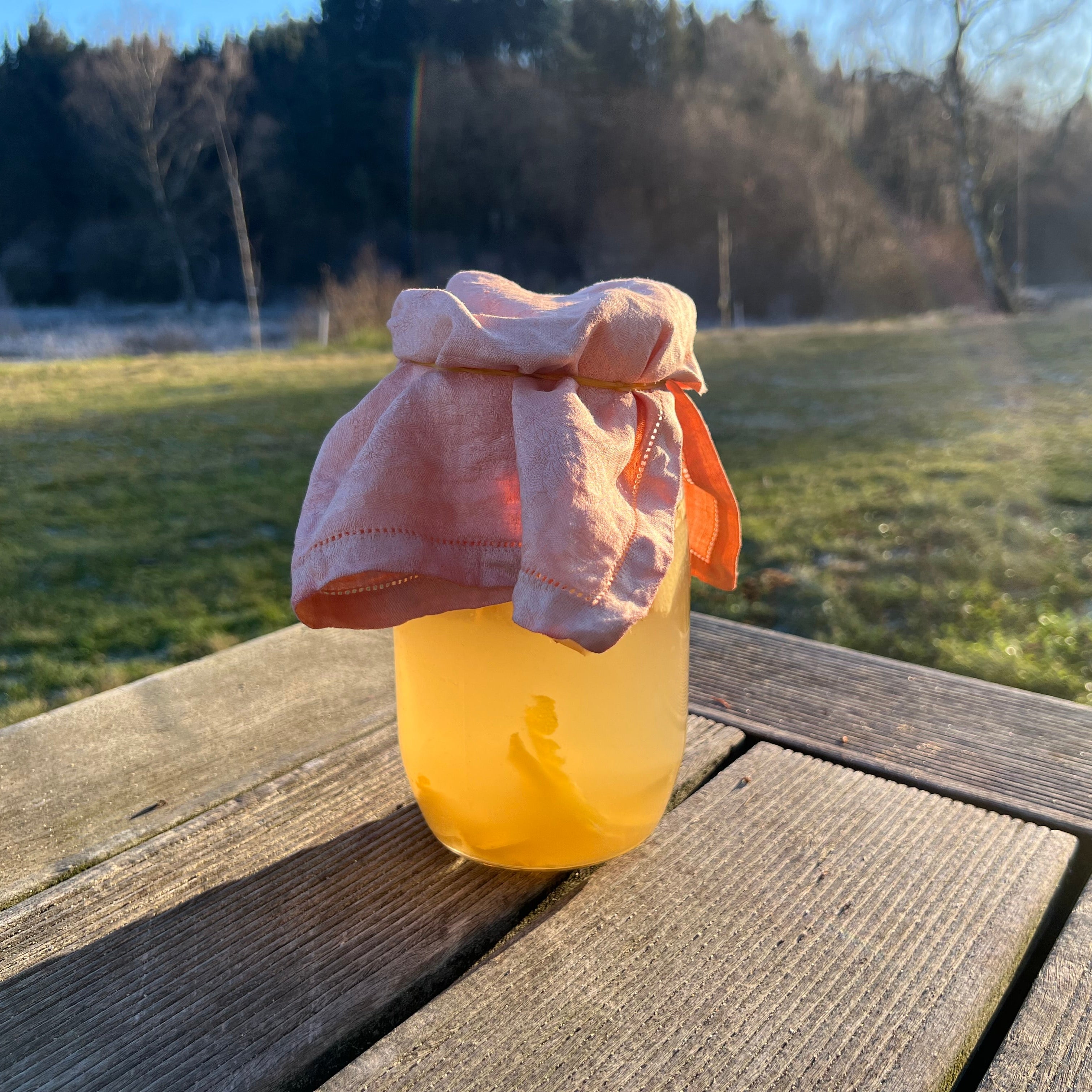 Lækker Ingefær Sodavand 🥤