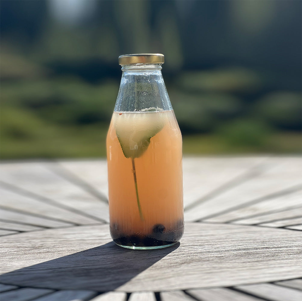 Kombucha - lækker og mousserende tedrik 🫖