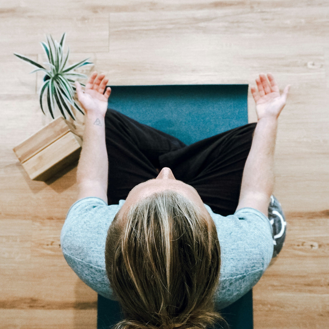 At lande blødt efter sommerferien ☀️🍃