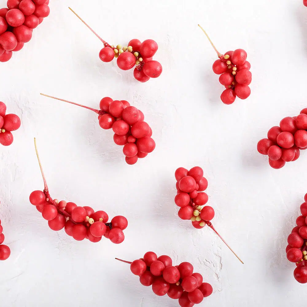 Schisandra