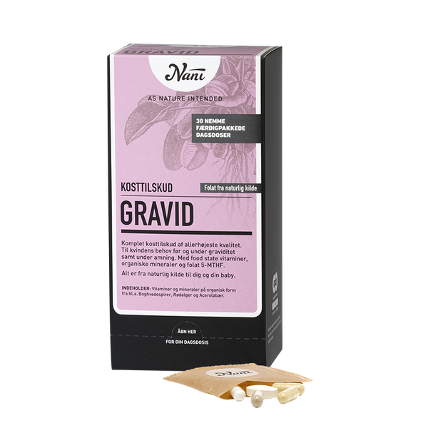 Gravid